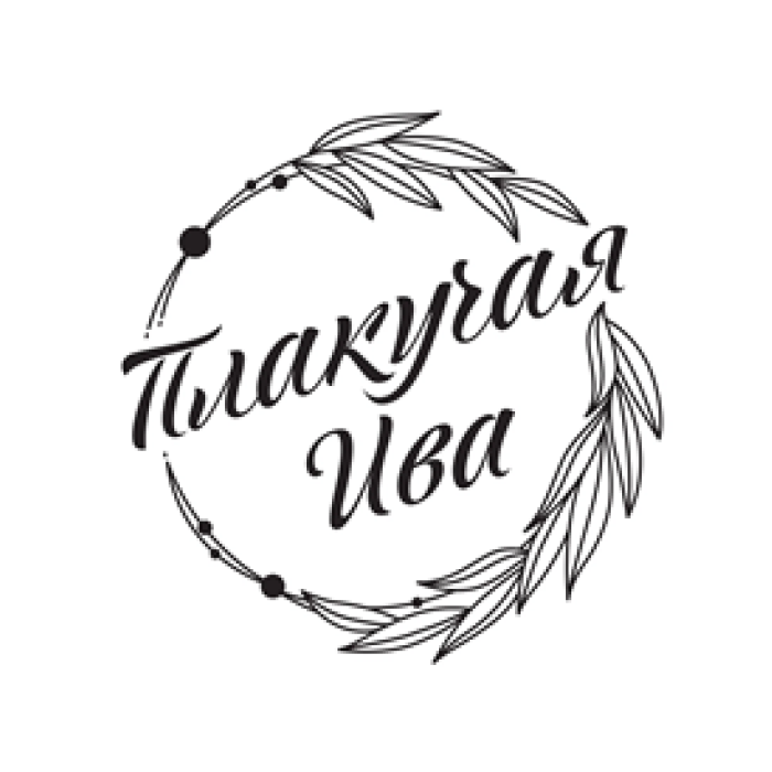 Плакучая Ива